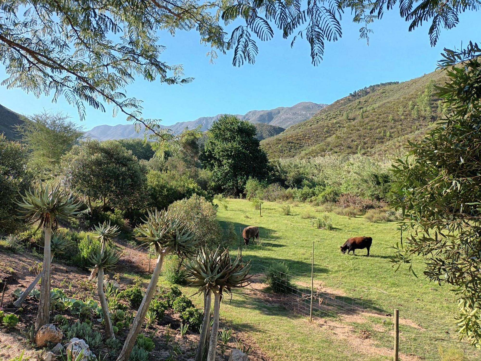 Assegai Rest Villa Robertson Exterior photo